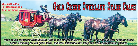 2006 Rocky Mountain Accordion Celebration Program
									<br>
									Page 14
									&nbsp;&nbsp;&diams;&nbsp;&nbsp;
									7&frac12;"W x 2&frac12;"H<br>
									50# Book Paper