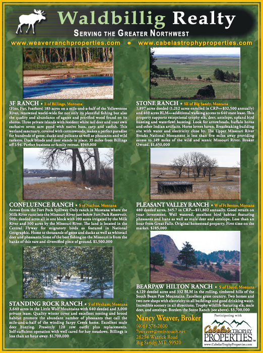 April 2007 Montana Land Magazine
									<br>
									Page 04
									&nbsp;&nbsp;&diams;&nbsp;&nbsp;
									7&frac14;"W x 9&frac34;"H<br>
									100# Coated Text Stock