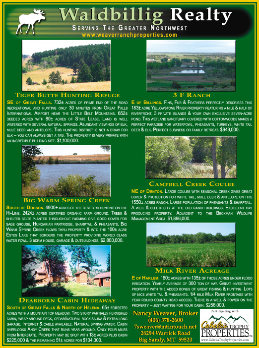 October 2007 Montana Land Magazine
									<br>
									Page 06
									&nbsp;&nbsp;&diams;&nbsp;&nbsp;
									7&frac14;"W x 9&frac34;"H<br>
									100# Coated Text Stock