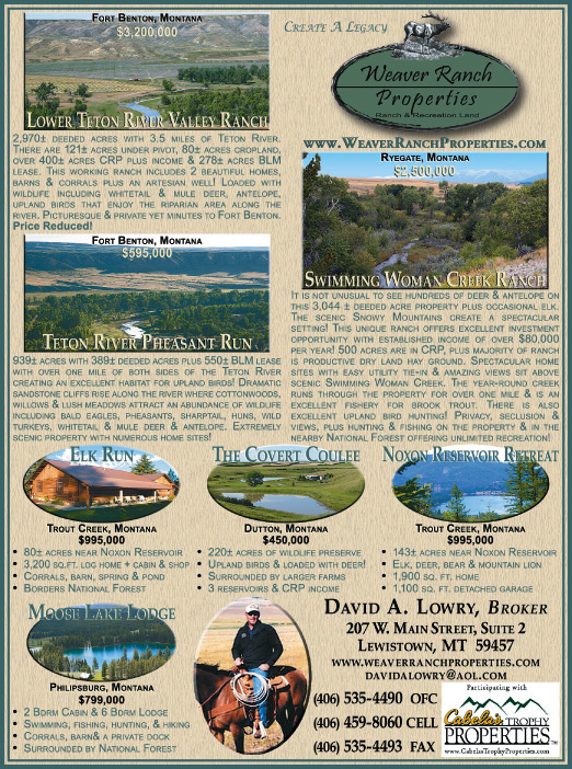April 2008 Montana Land Magazine
									<br>
									Page 09
									&nbsp;&nbsp;&diams;&nbsp;&nbsp;
									7&frac14;"W x 9&frac34;"H<br>
									100# Coated Text Stock