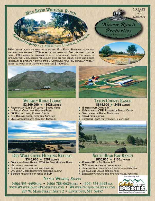 July 2008 Western Livestock Journal Properties Magazine
									<br>
									Page 03
									&nbsp;&nbsp;&diams;&nbsp;&nbsp;
									8&frac38;"W x 10&frac78;"H<br>
									100# Coated Text Stock