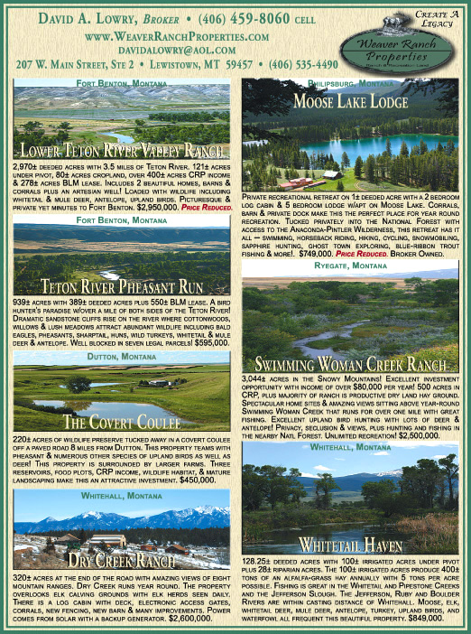 April 2009 Montana Land Magazine
									<br>
									Page 07
									&nbsp;&nbsp;&diams;&nbsp;&nbsp;
									7&frac14;"W x 9&frac34;"H<br>
									100# Coated Text Stock