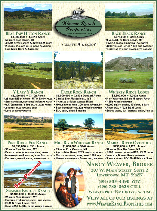 June 2009 Montana Land Magazine
									<br>
									Page 06
									&nbsp;&nbsp;&diams;&nbsp;&nbsp;
									7&frac14;"W x 9&frac34;"H<br>
									100# Coated Text Stock