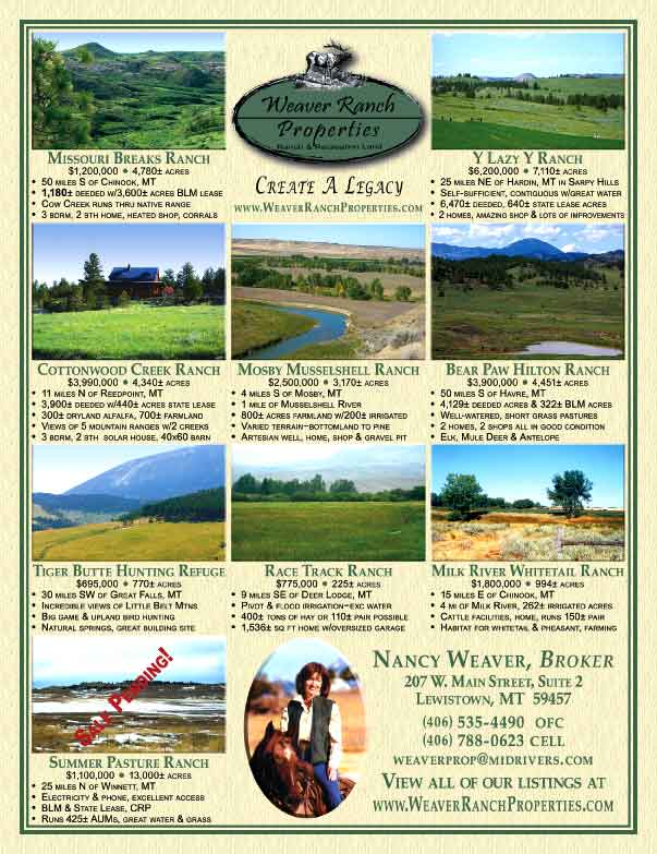 July 2009 Western Livestock Journal Properties Magazine
									<br>
									Page 03
									&nbsp;&nbsp;&diams;&nbsp;&nbsp;
									8&frac38;"W x 10&frac78;"H<br>
									100# Coated Text Stock